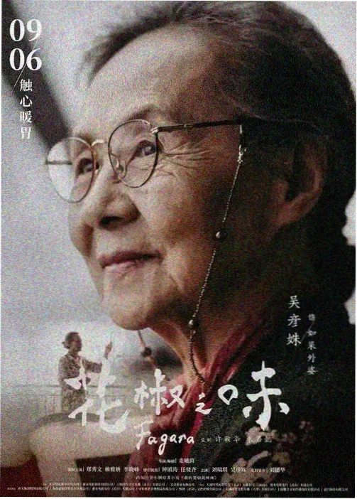 纸鸢少年动漫海报